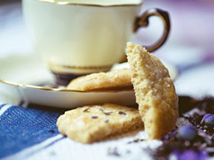 French lavender sables in Cookies, biscuits and shortbreads recipes, preparation of the ingredients and step by step instructions of how to cook and bake